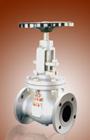 GLOBE VALVE